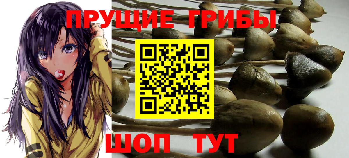 Галлюциногенные грибы Cubensis  Вход с VPN  Калининград 