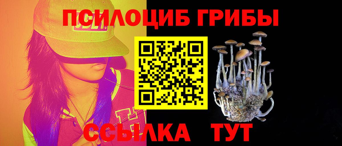 Галлюциногенные грибы мицелий Калининград
